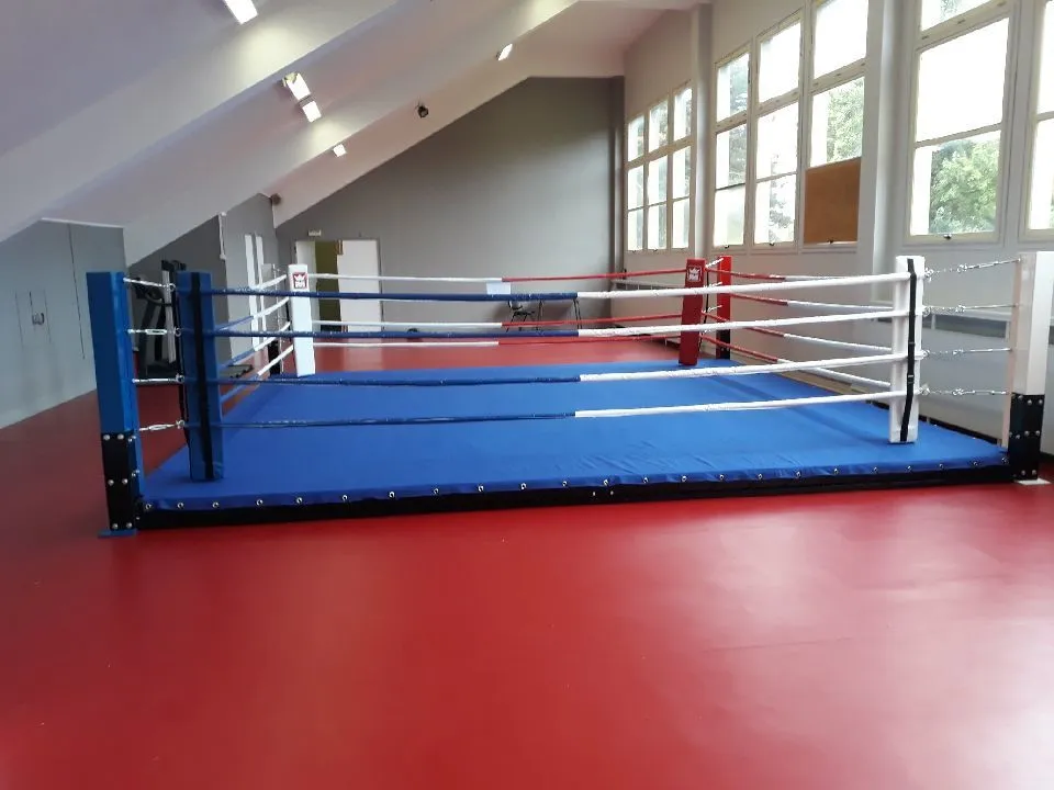 Blue boxing ring canvas